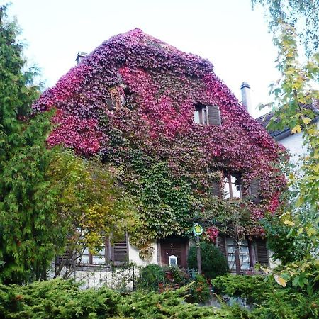 Ferrette B&B De Charme La Maison Des 5 Temps מראה חיצוני תמונה