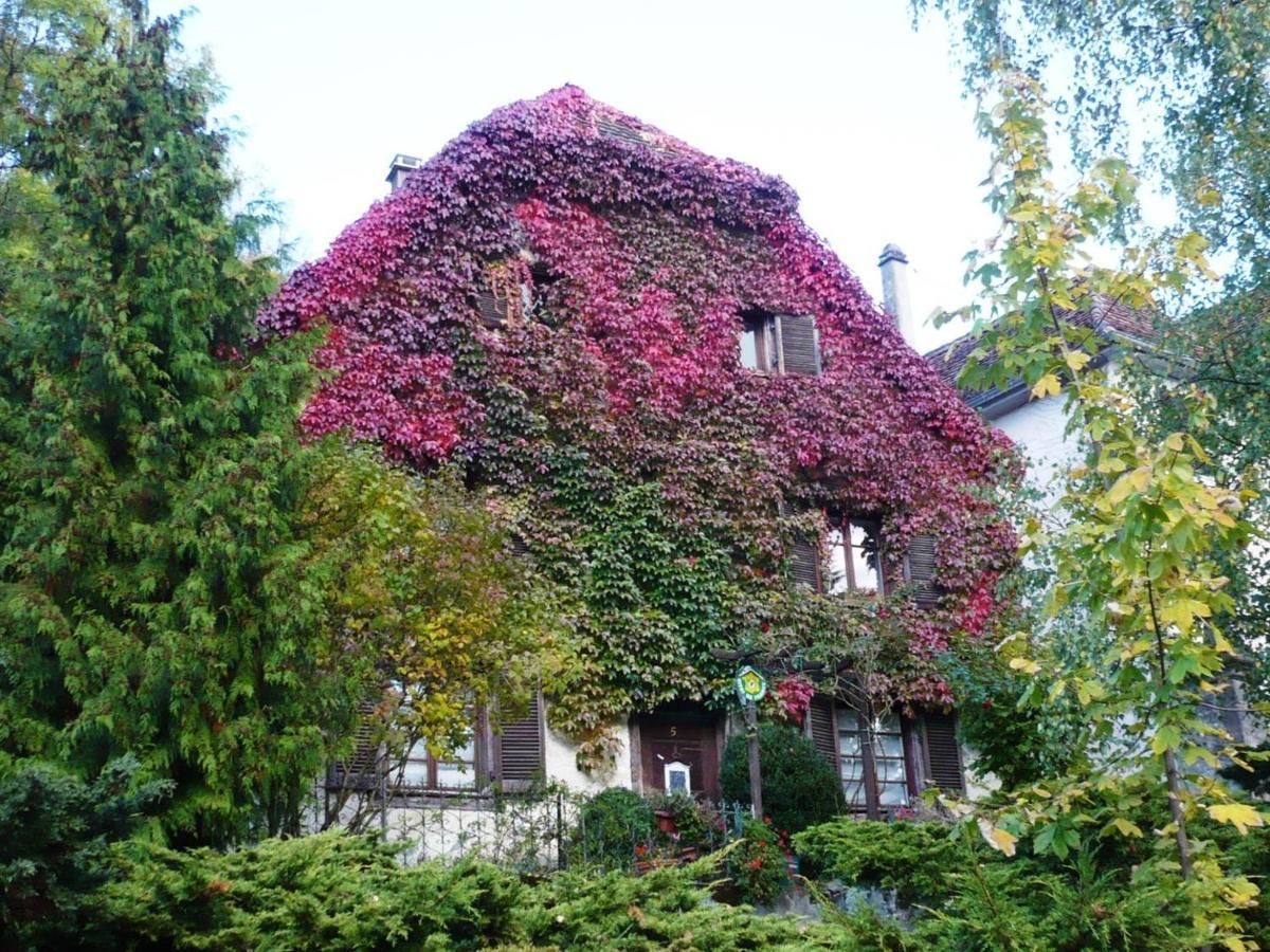 Ferrette B&B De Charme La Maison Des 5 Temps מראה חיצוני תמונה