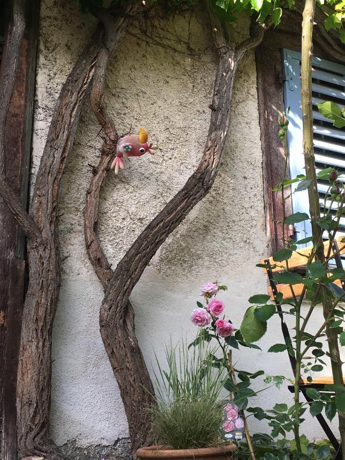 Ferrette B&B De Charme La Maison Des 5 Temps מראה חיצוני תמונה