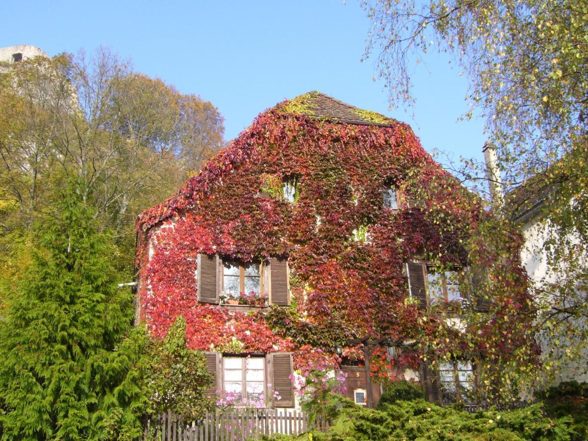 Ferrette B&B De Charme La Maison Des 5 Temps מראה חיצוני תמונה
