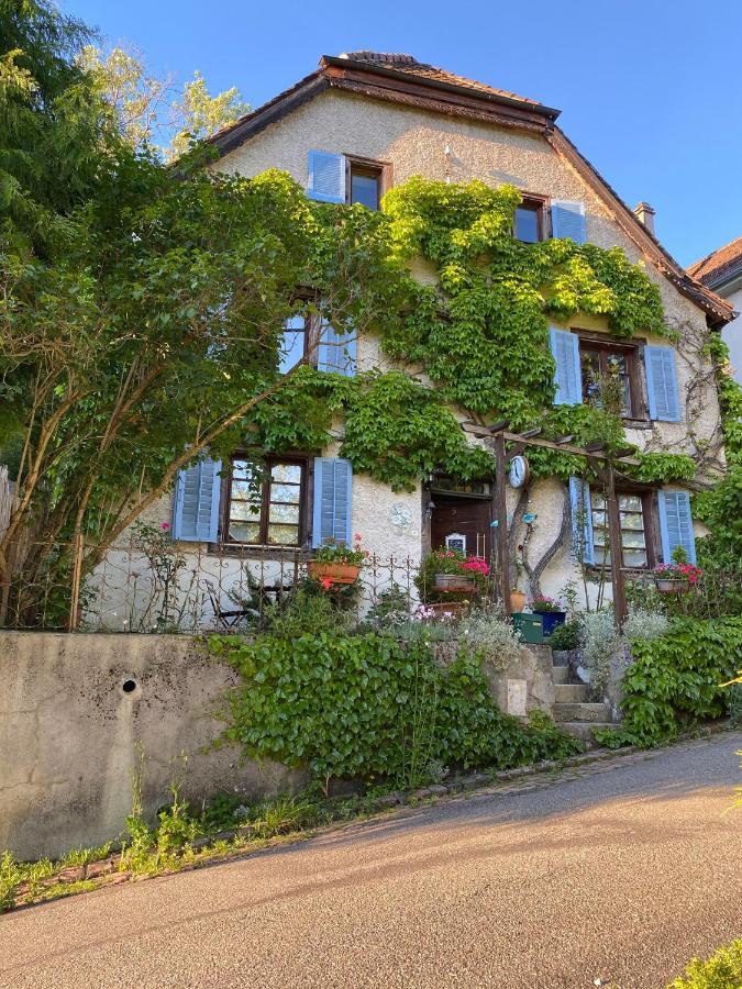 Ferrette B&B De Charme La Maison Des 5 Temps מראה חיצוני תמונה