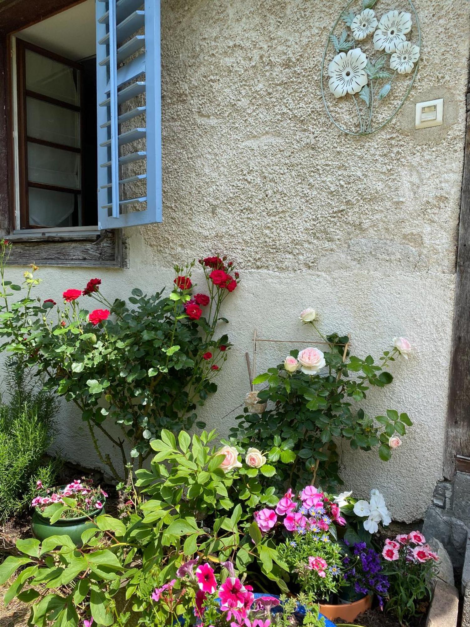 Ferrette B&B De Charme La Maison Des 5 Temps חדר תמונה