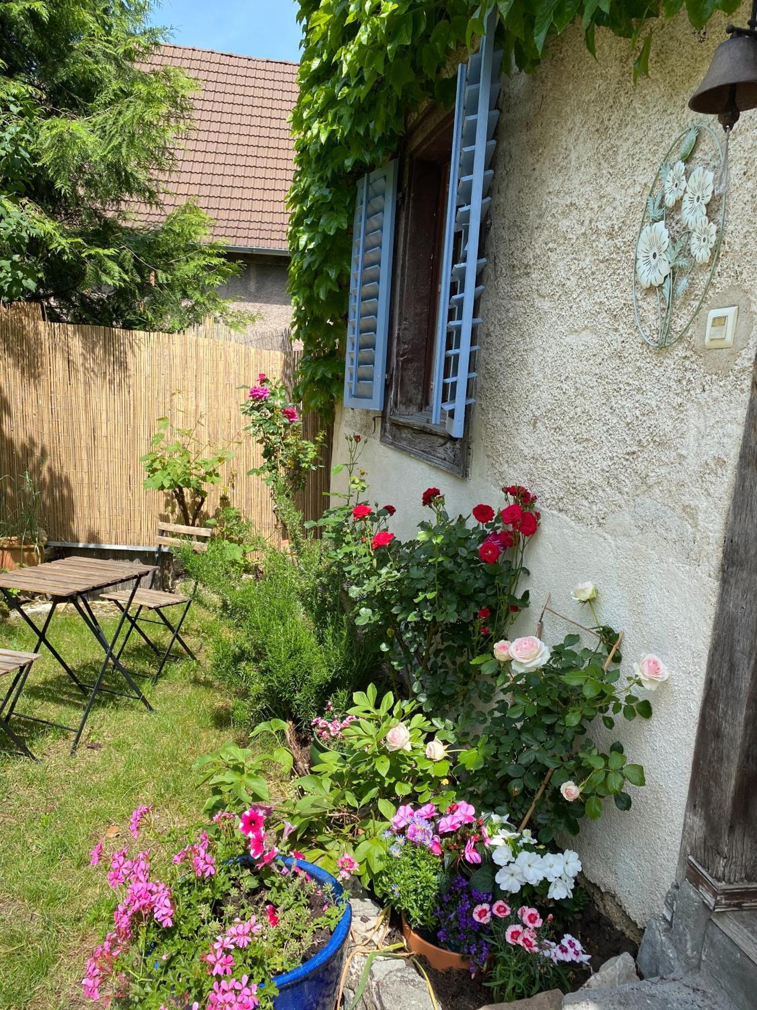Ferrette B&B De Charme La Maison Des 5 Temps חדר תמונה