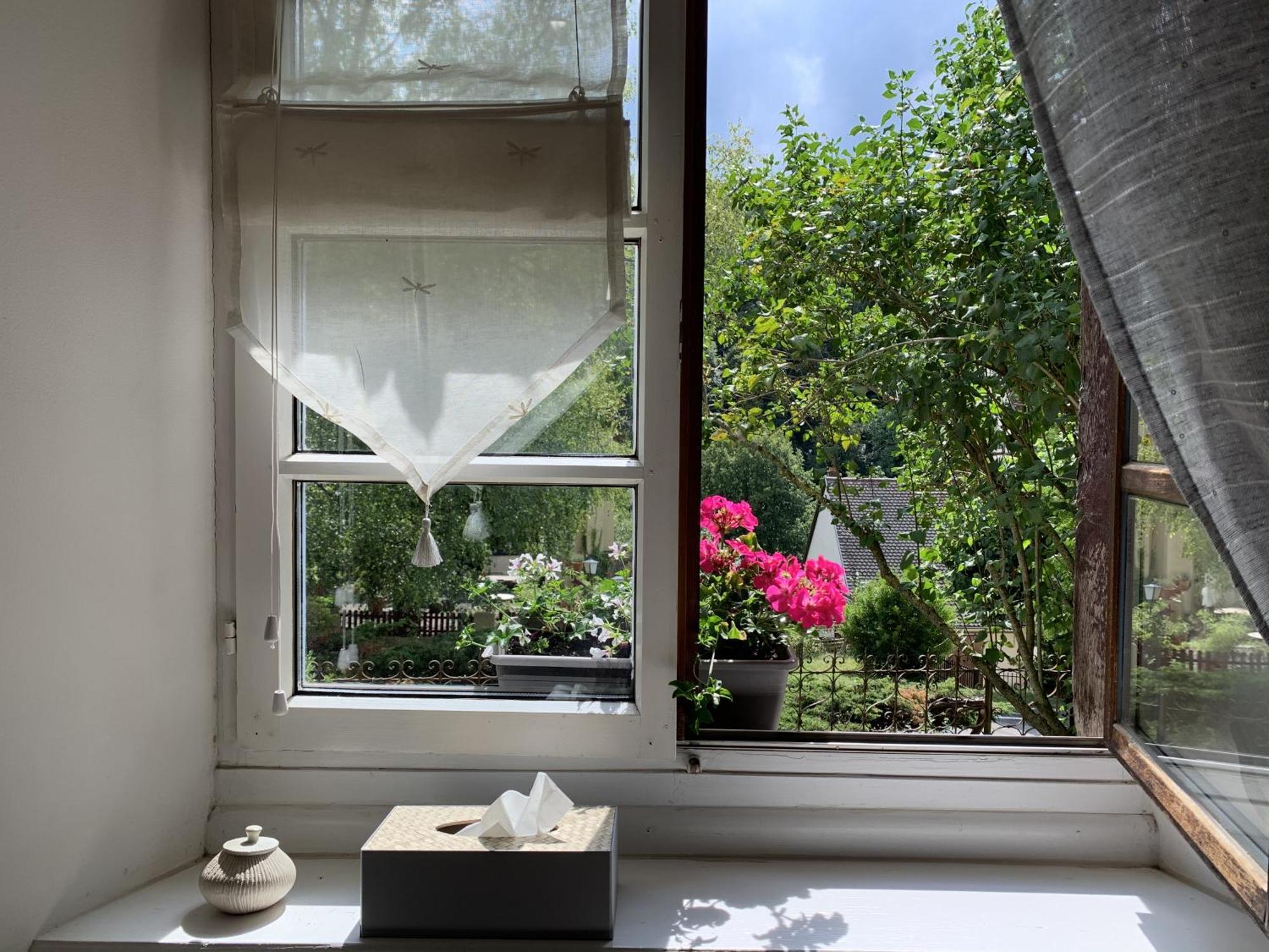 Ferrette B&B De Charme La Maison Des 5 Temps חדר תמונה