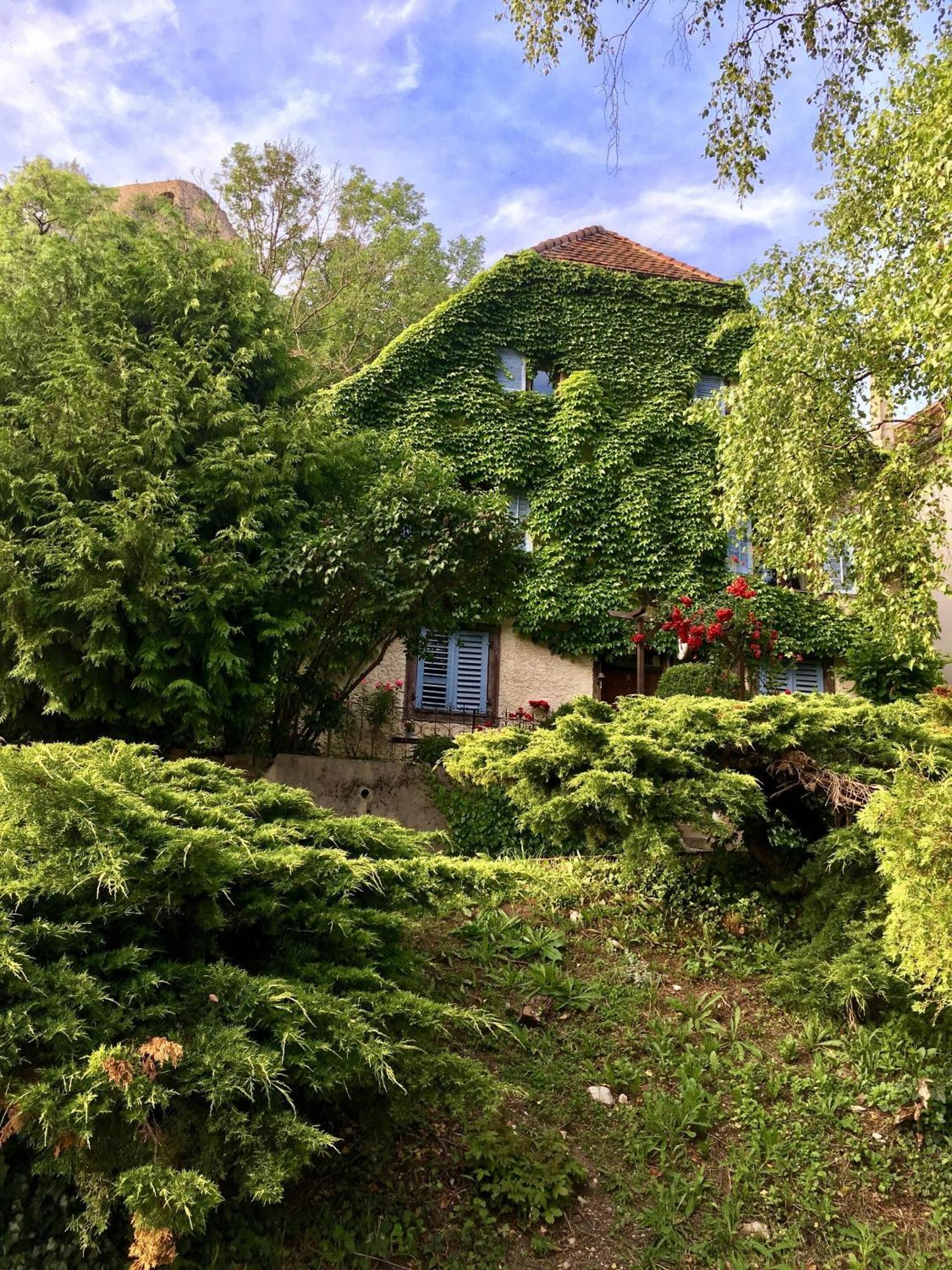 Ferrette B&B De Charme La Maison Des 5 Temps מראה חיצוני תמונה